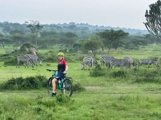 Cebras junto a la ruta en bici