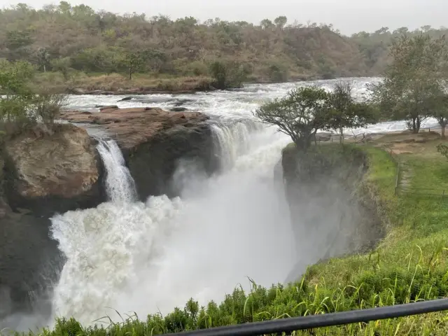 Safari en Murchison Falls